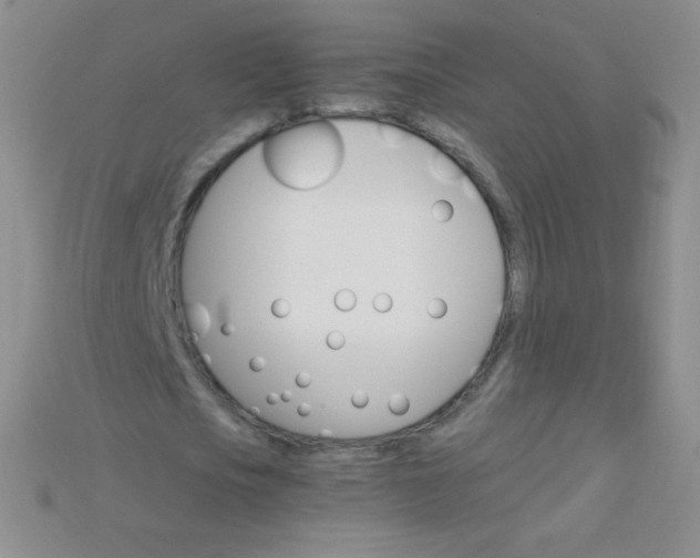 X0000115210721200911121904
