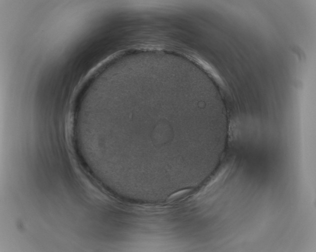 X0000115210722200911121904