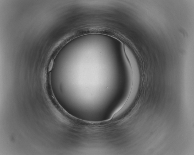 X0000115210725200911121904