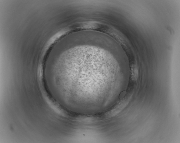 X0000115210726200911121904
