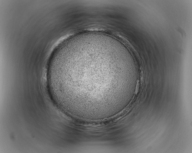 X0000115210727200911121904