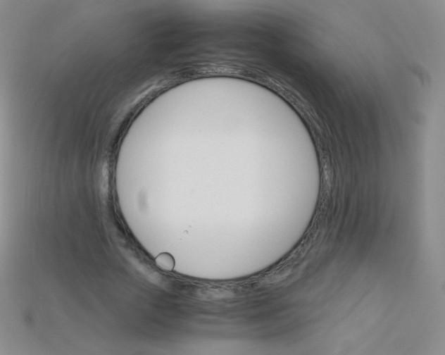 X0000115210729200911121904