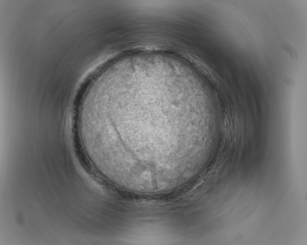 X0000115210730200911121904