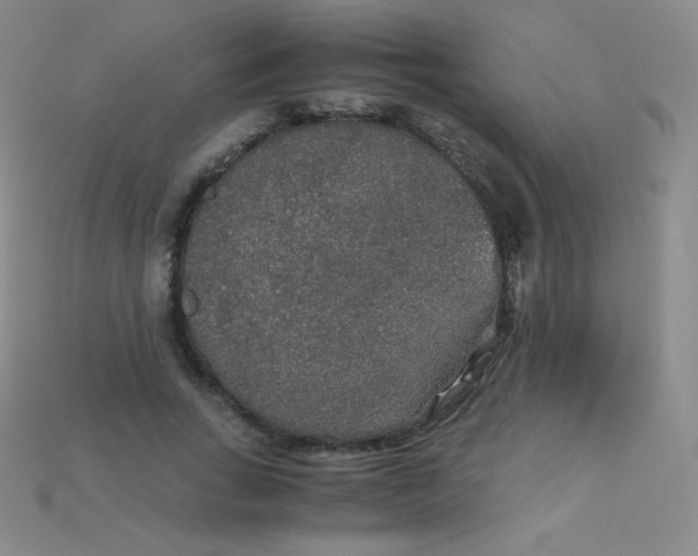 X0000115210735200911121904