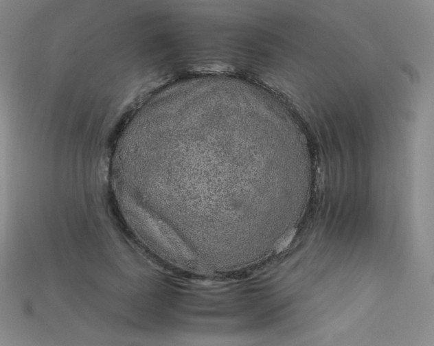 X0000115210739200911121904