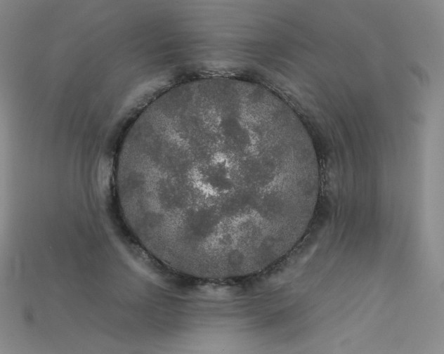 X0000115210742200911121904