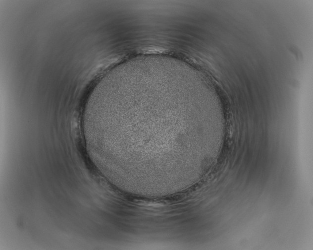 X0000115210743200911121904