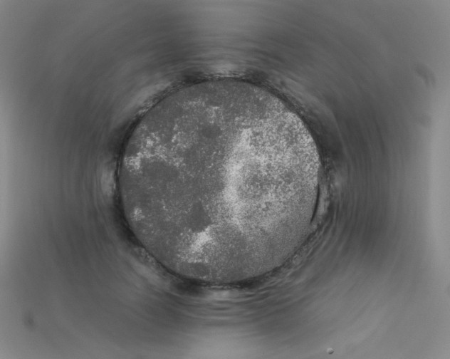 X0000115210746200911121904