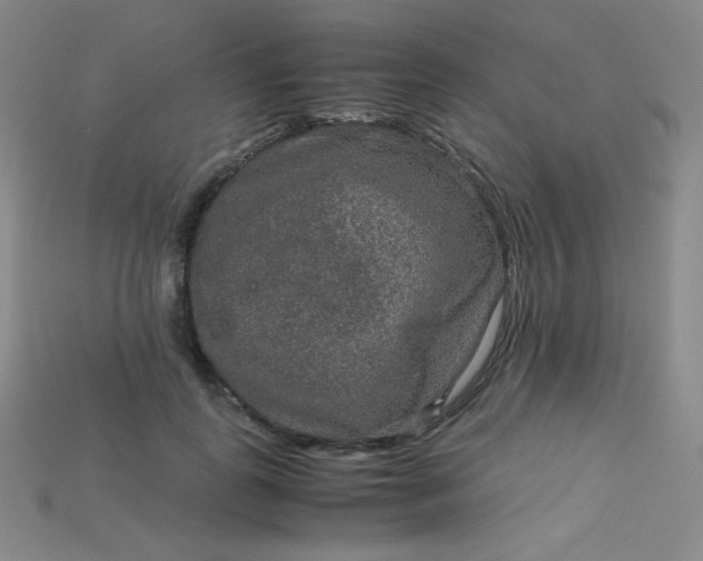 X0000115210747200911121904