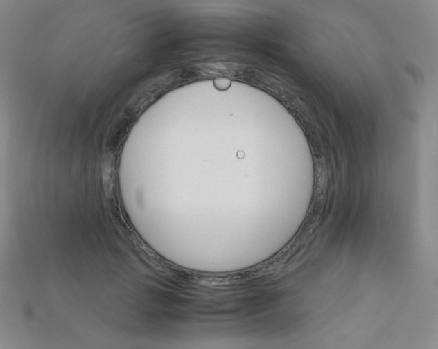 X0000115210749200911121904
