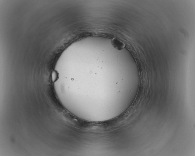 X0000115210750200911121904