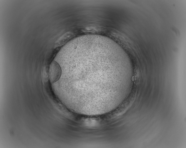 X0000115210751200911121904
