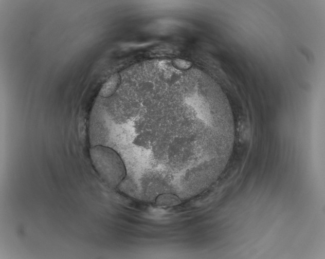 X0000115210753200911121904