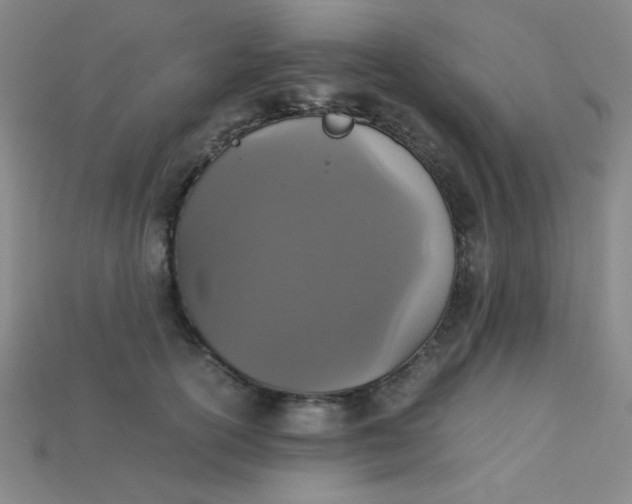 X0000115210754200911121904