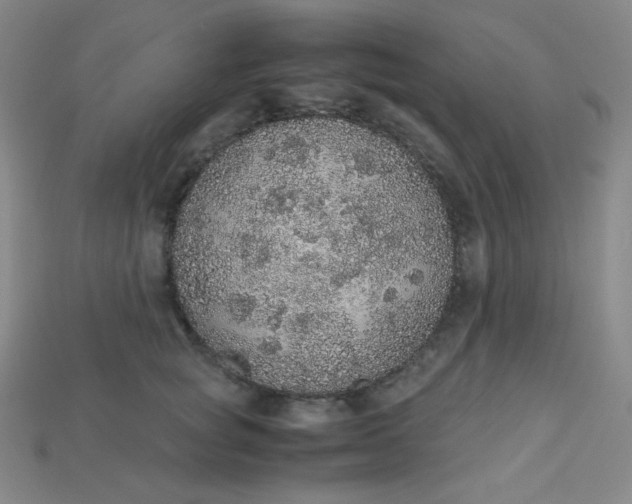 X0000115210757200911121904