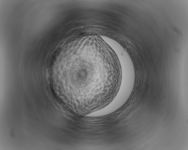 X0000115210759200911121904
