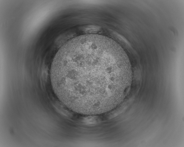 X0000115210761200911121904
