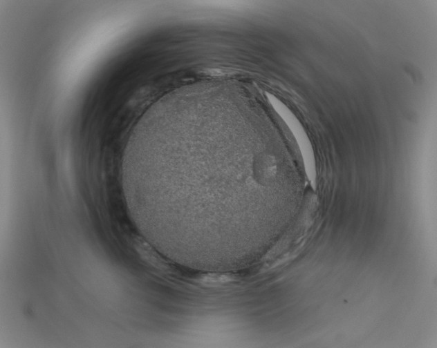 X0000115210762200911121904