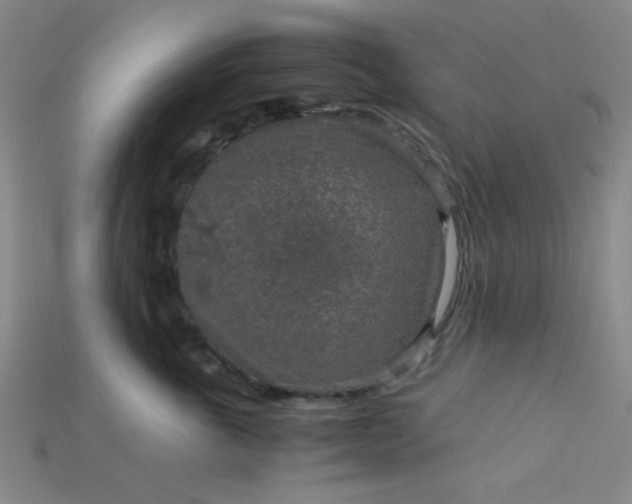 X0000115210763200911121904