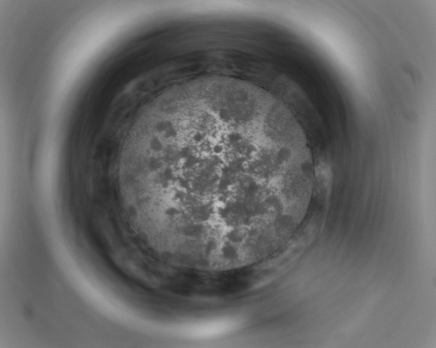 X0000115210765200911121904