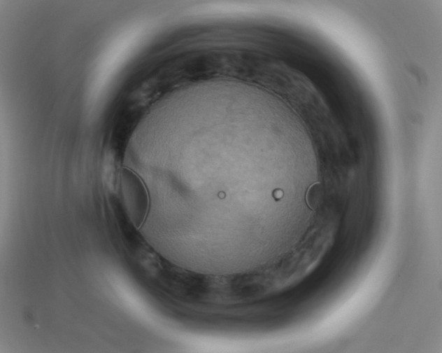 X0000115210766200911121904