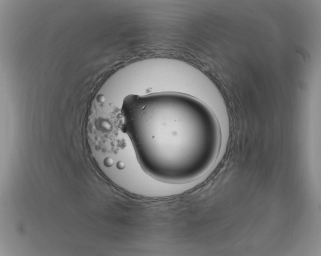 X0000115210769200911121904
