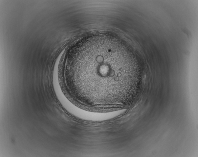 X0000115210772200911121904