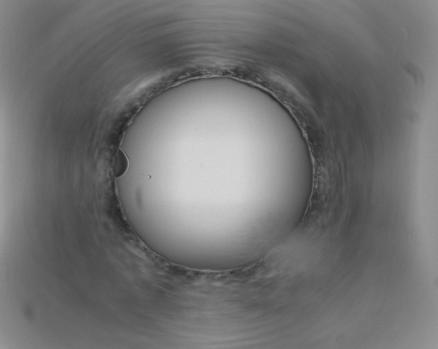 X0000115210773200911121904