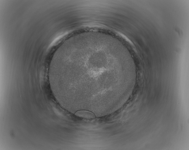 X0000115210775200911121904