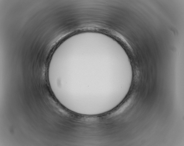 X0000115210778200911121903