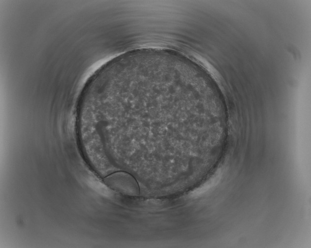 X0000115210779200911121903