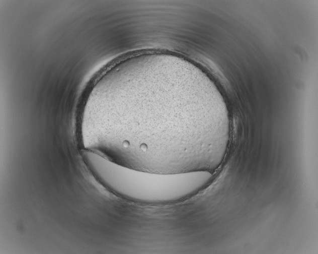 X0000115210780200911121903