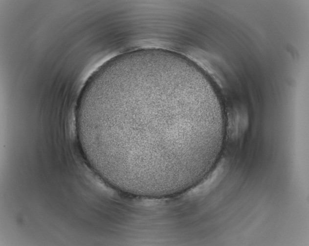 X0000115210782200911121903
