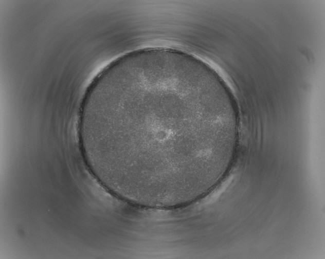 X0000115210783200911121903