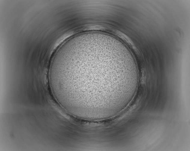 X0000115210786200911121903