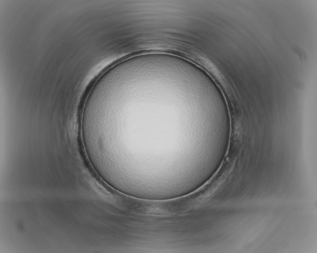 X0000115210787200911121903