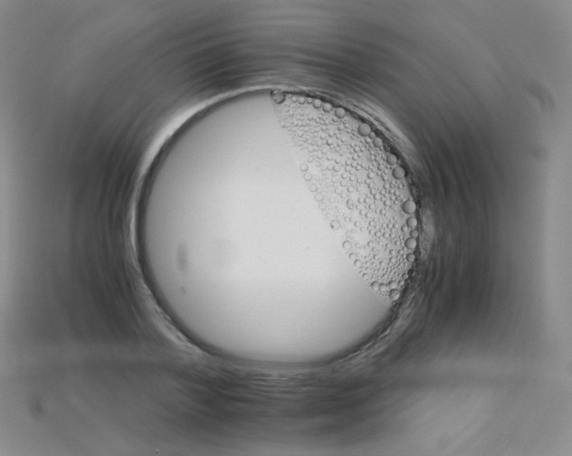 X0000115210788200911121903