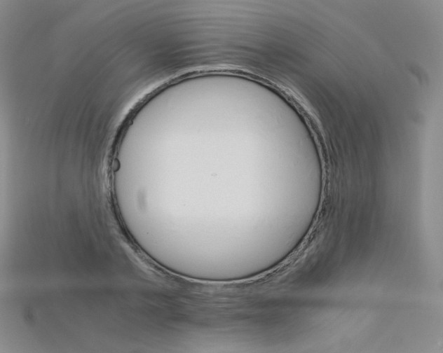 X0000115210789200911121903
