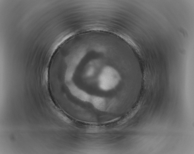 X0000115210790200911121903