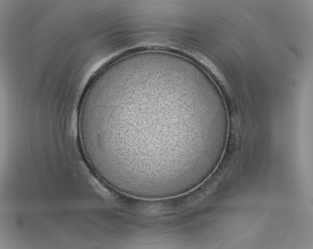 X0000115210791200911121903