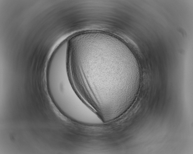 X0000115210792200911121903