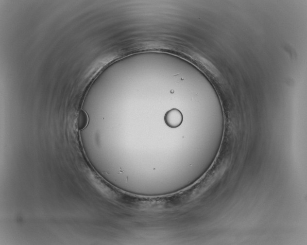 X0000115210793200911121903