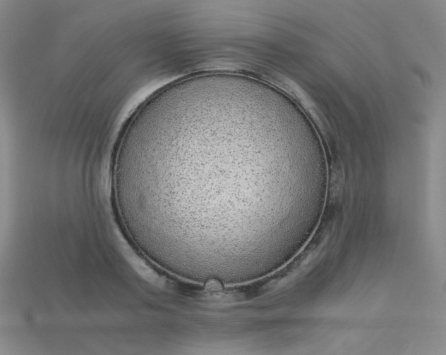 X0000115210795200911121903