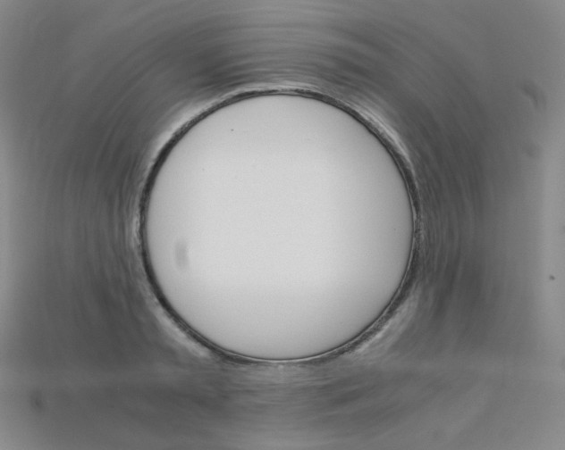 X0000115210797200911121903