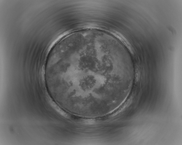 X0000115210798200911121903