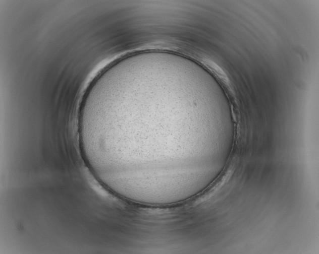X0000115210800200911121903