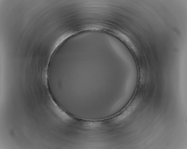 X0000115210802200911121903