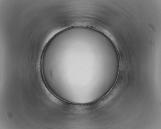 X0000115210803200911121903
