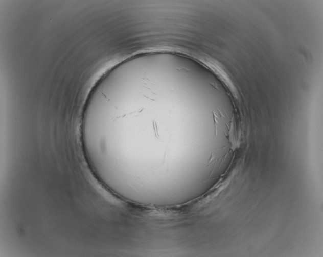 X0000115210805200911121903