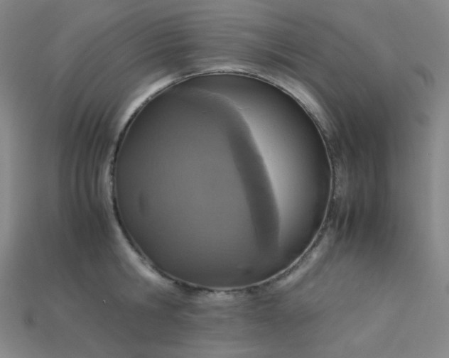 X0000115210806200911121903